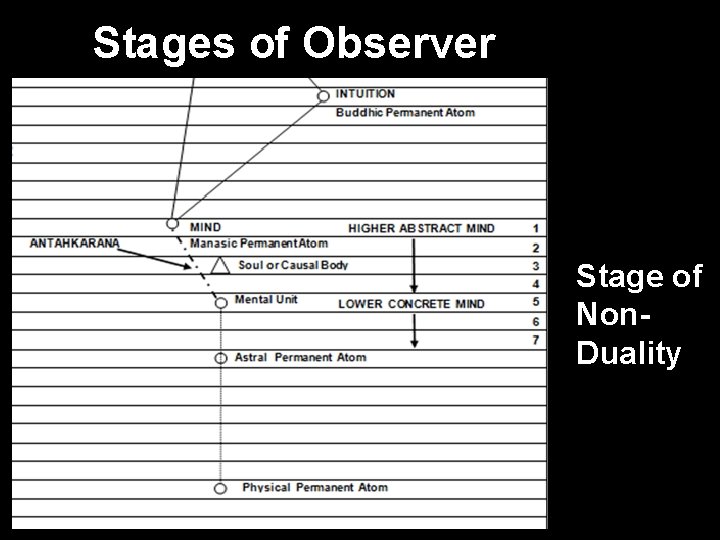 Stages of Observer Stage of Non. Duality 