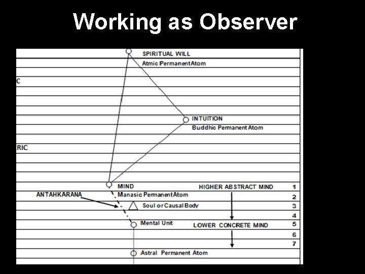 Working as Observer 