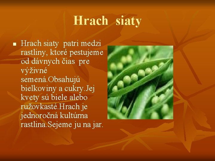 Hrach siaty n Hrach siaty patri medzi rastliny, ktoré pestujeme od dávnych čias pre