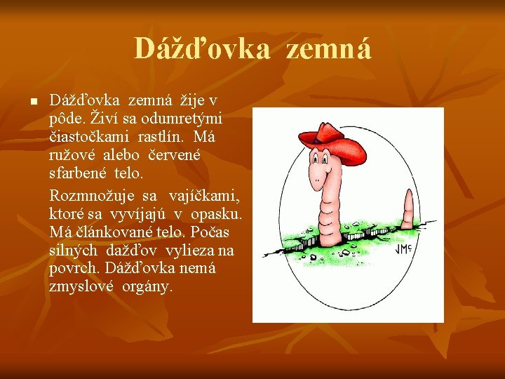 Dážďovka zemná n Dážďovka zemná žije v pôde. Živí sa odumretými čiastočkami rastlín. Má