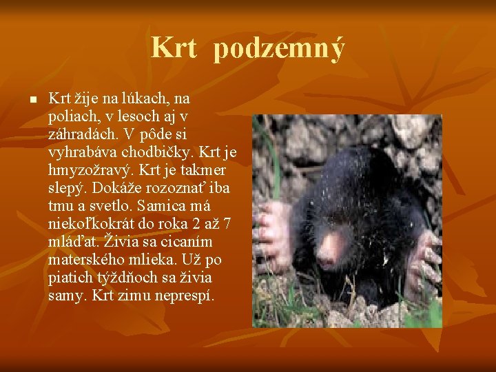 Krt podzemný n Krt žije na lúkach, na poliach, v lesoch aj v záhradách.