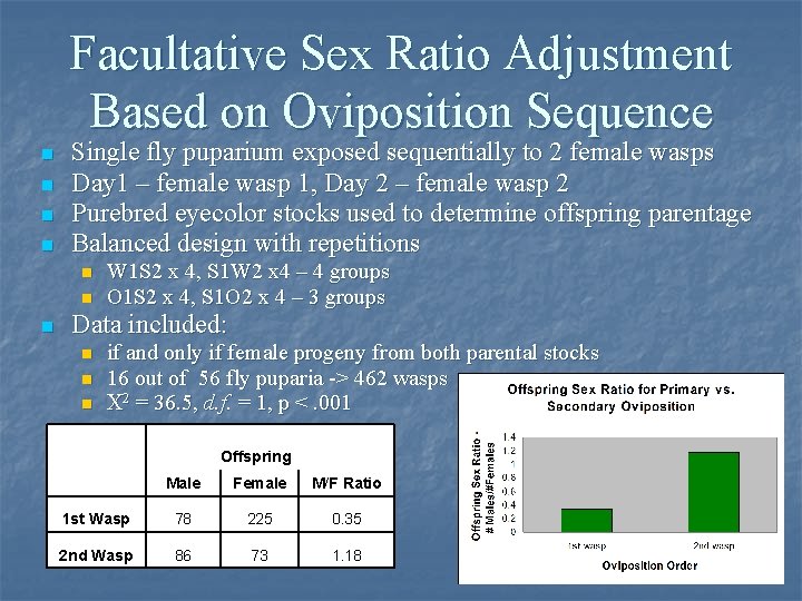 Facultative Sex Ratio Adjustment Based on Oviposition Sequence n n Single fly puparium exposed