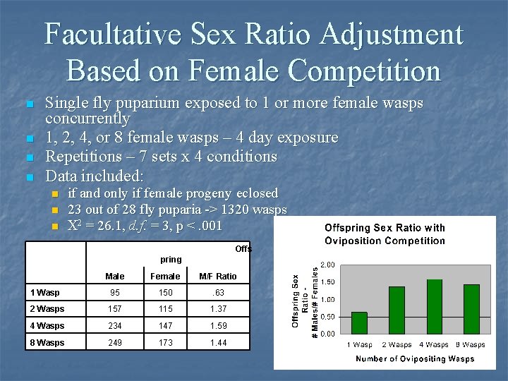 Facultative Sex Ratio Adjustment Based on Female Competition n n Single fly puparium exposed