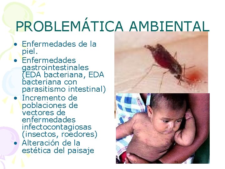 PROBLEMÁTICA AMBIENTAL • Enfermedades de la piel. • Enfermedades gastrointestinales (EDA bacteriana, EDA bacteriana