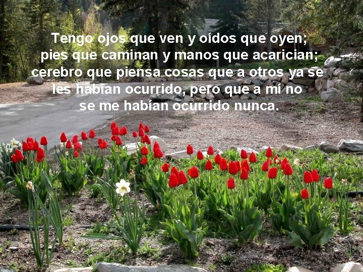 Tengo ojos que ven y oídos que oyen; pies que caminan y manos que