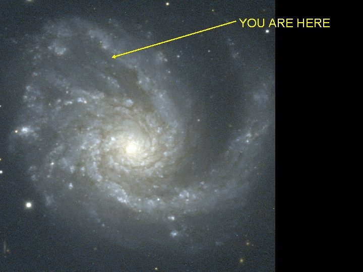 YOU ARE HERE 