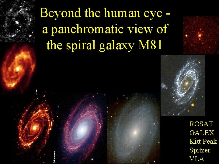 Beyond the human eye - a panchromatic view of the spiral galaxy M 81