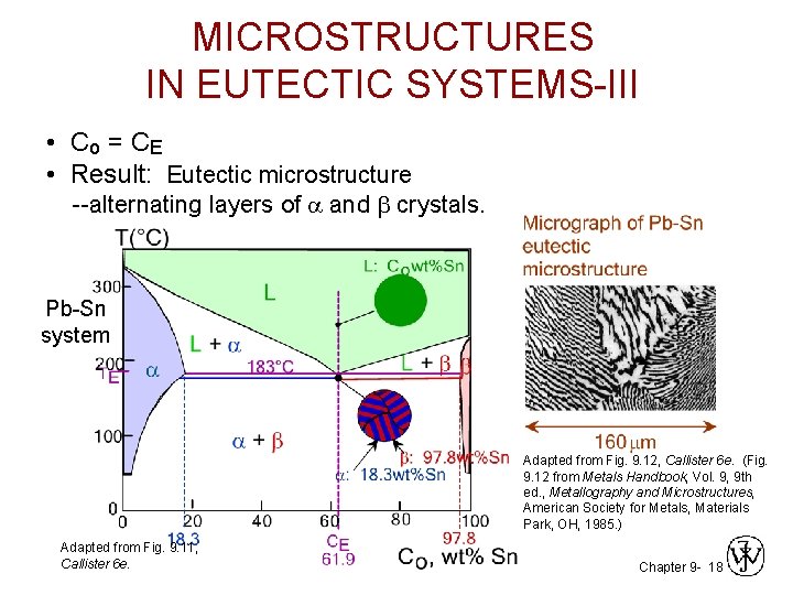 MICROSTRUCTURES IN EUTECTIC SYSTEMS-III • Co = C E • Result: Eutectic microstructure --alternating