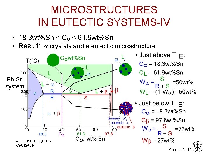 MICROSTRUCTURES IN EUTECTIC SYSTEMS-IV • 18. 3 wt%Sn < Co < 61. 9 wt%Sn