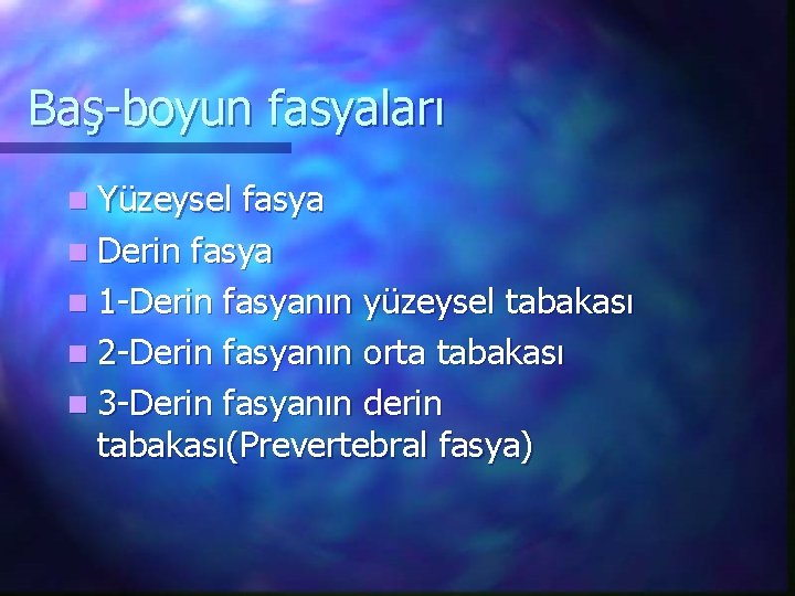 Baş-boyun fasyaları n Yüzeysel fasya n Derin fasya n 1 -Derin fasyanın yüzeysel tabakası