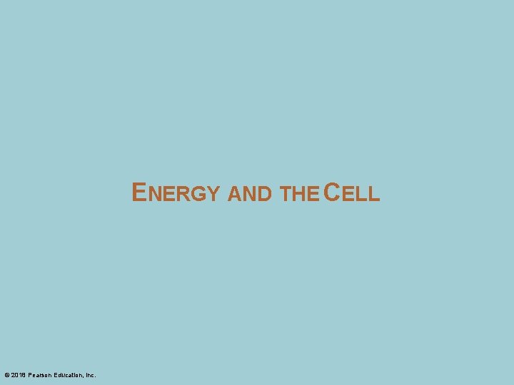 ENERGY AND THE CELL © 2018 Pearson Education, Inc. 