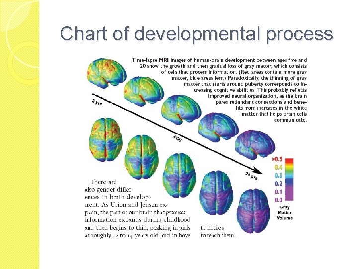 Teenage Brain Are they really different from and