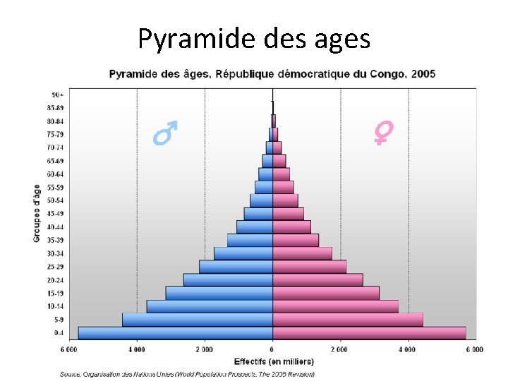 Pyramide des ages 