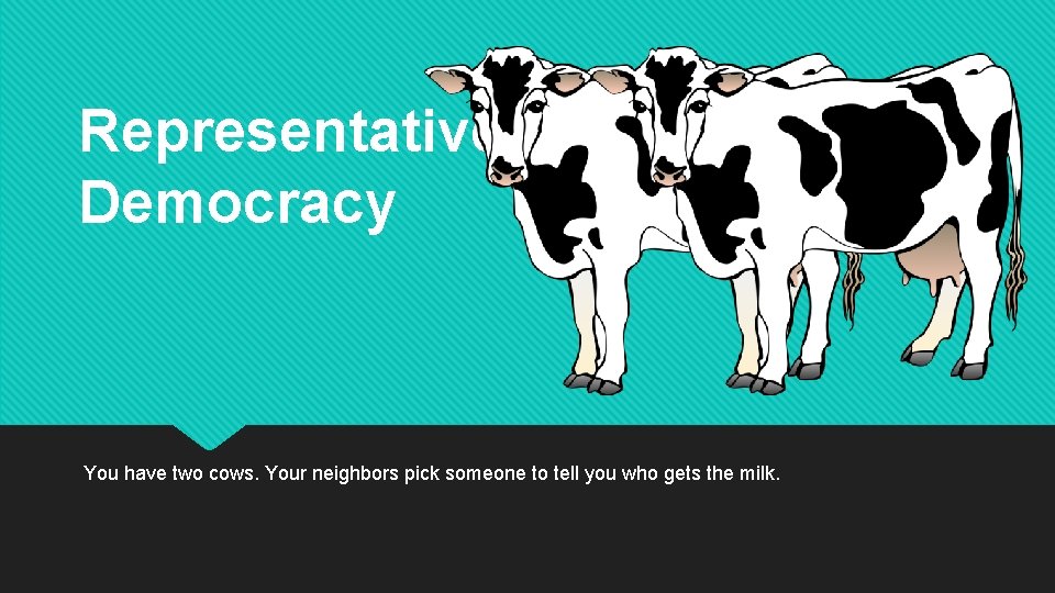 Representative Democracy You have two cows. Your neighbors pick someone to tell you who