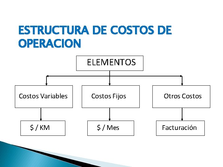 ESTRUCTURA DE COSTOS DE OPERACION ELEMENTOS Costos Variables $ / KM Costos Fijos $