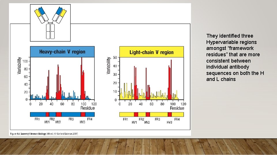 They identified three Hypervariable regions amongst “framework residues” that are more consistent between individual