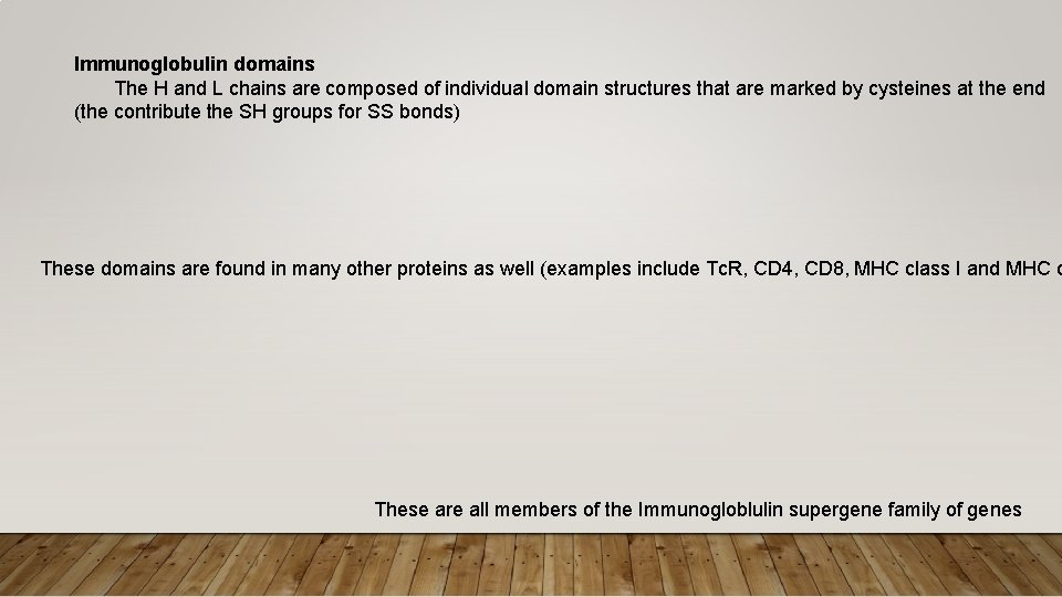 Immunoglobulin domains The H and L chains are composed of individual domain structures that