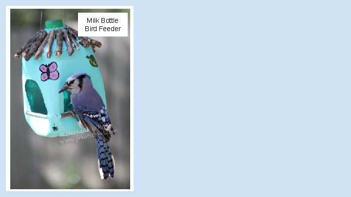 Milk Bottle Bird Feeder 