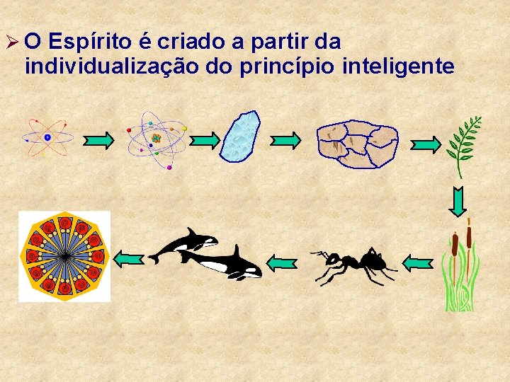 Ø O Espírito é criado a partir da individualização do princípio inteligente 