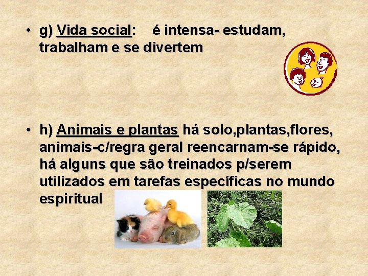  • g) Vida social: é intensa- estudam, trabalham e se divertem • h)