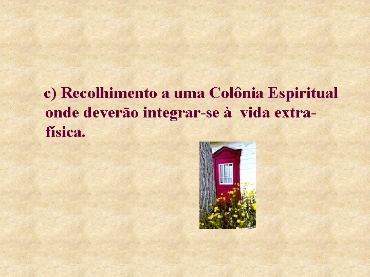 c) Recolhimento a uma Colônia Espiritual onde deverão integrar-se à vida extrafísica. 
