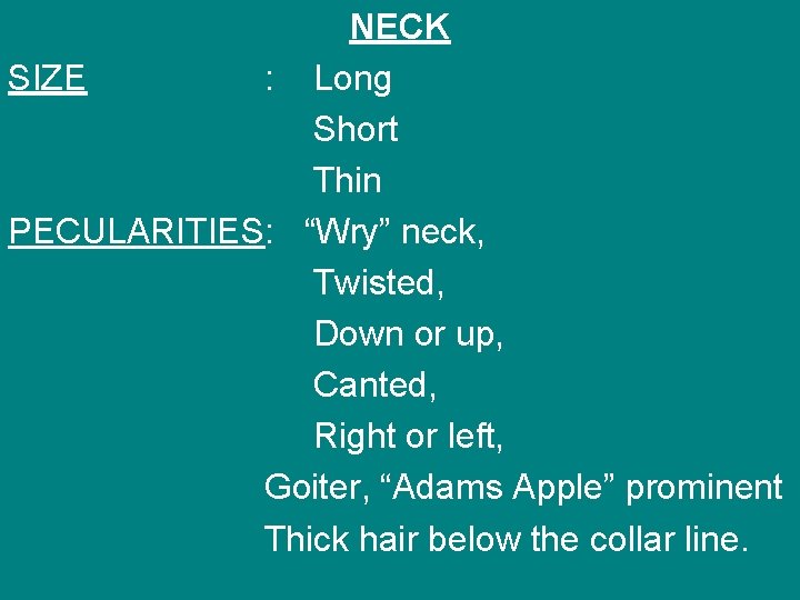 NECK SIZE : Long Short Thin PECULARITIES: “Wry” neck, Twisted, Down or up, Canted,