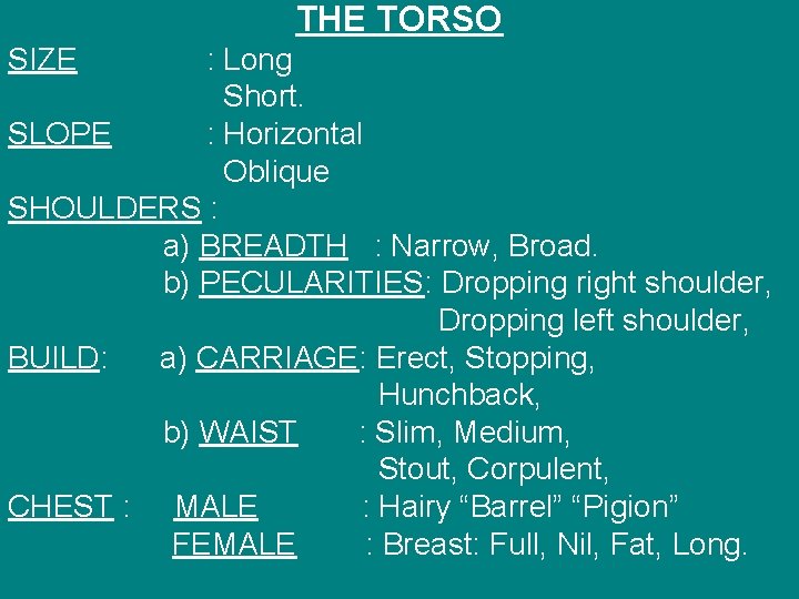 THE TORSO SIZE : Long Short. SLOPE : Horizontal Oblique SHOULDERS : a) BREADTH