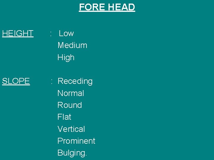 FORE HEAD HEIGHT : Low Medium High SLOPE : Receding Normal Round Flat Vertical