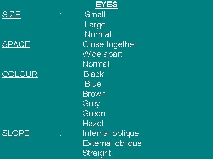 SIZE : SPACE : COLOUR : SLOPE : EYES Small Large Normal. Close together