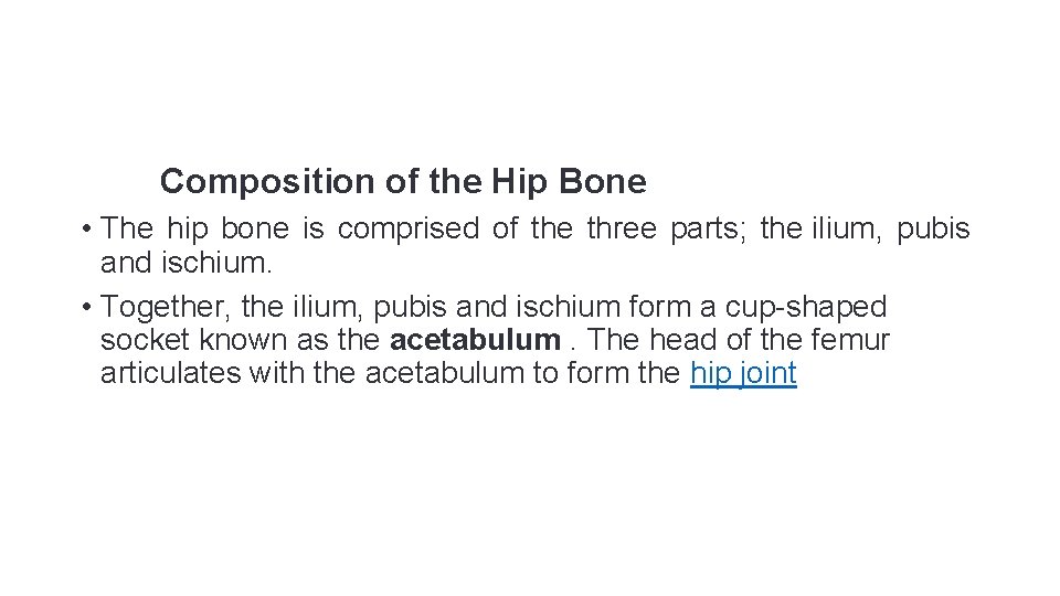 Composition of the Hip Bone • The hip bone is comprised of the three