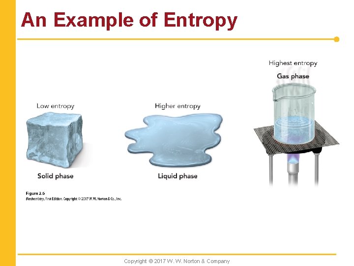 An Example of Entropy Copyright © 2017 W. W. Norton & Company 