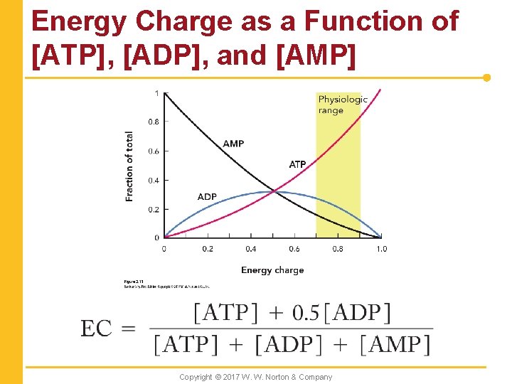 Energy Charge as a Function of [ATP], [ADP], and [AMP] Copyright © 2017 W.
