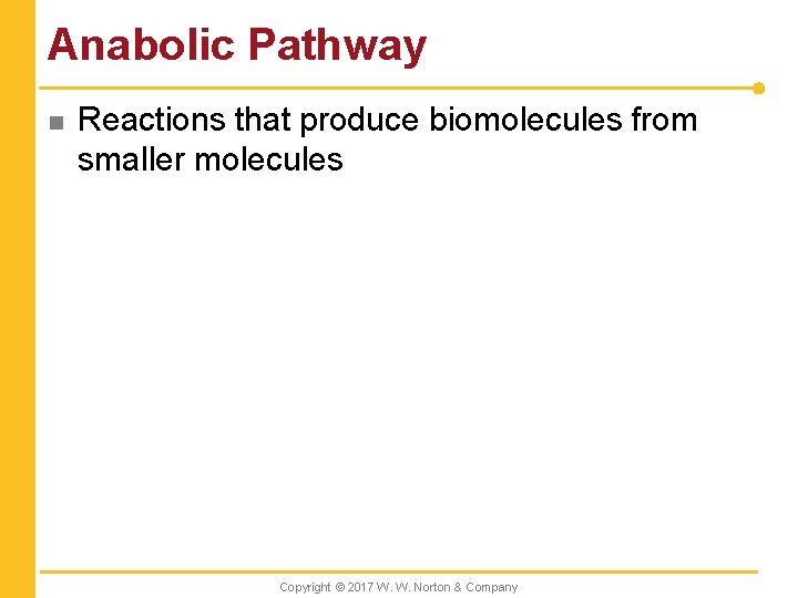 Anabolic Pathway n Reactions that produce biomolecules from smaller molecules Copyright © 2017 W.