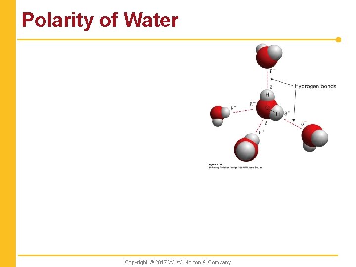 Polarity of Water Copyright © 2017 W. W. Norton & Company 