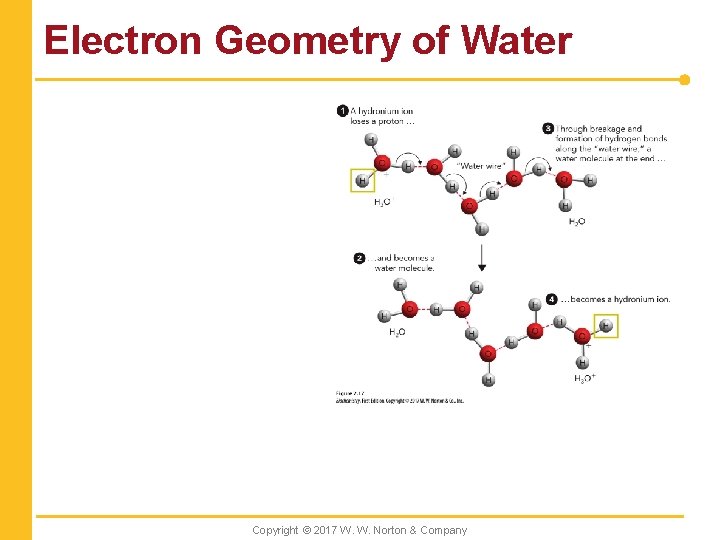 Electron Geometry of Water Copyright © 2017 W. W. Norton & Company 