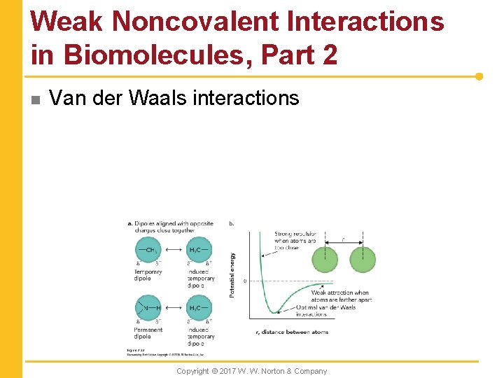 Weak Noncovalent Interactions in Biomolecules, Part 2 n Van der Waals interactions Copyright ©