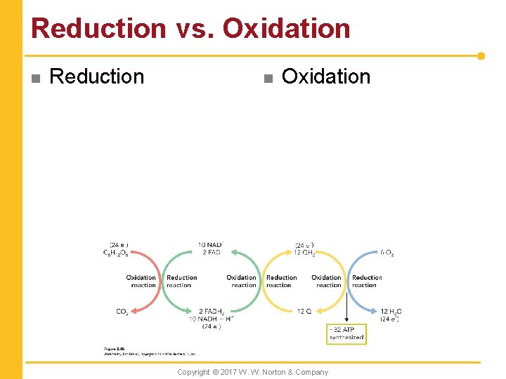 Reduction vs. Oxidation n Reduction n Oxidation Copyright © 2017 W. W. Norton &