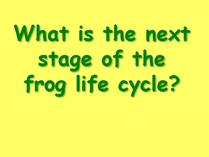 What is the next stage of the frog life cycle? 