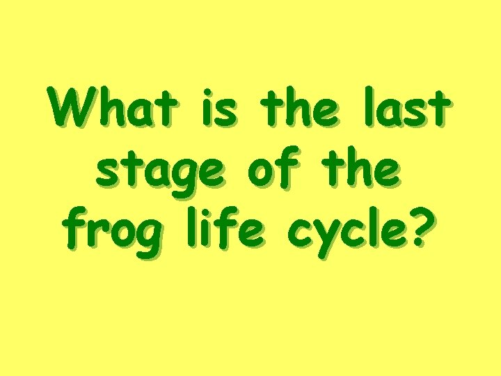 What is the last stage of the frog life cycle? 