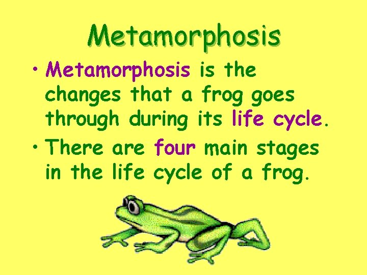 Metamorphosis • Metamorphosis is the changes that a frog goes through during its life