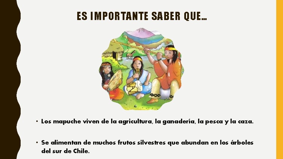 ES IMPORTANTE SABER QUE… • Los mapuche viven de la agricultura, la ganadería, la