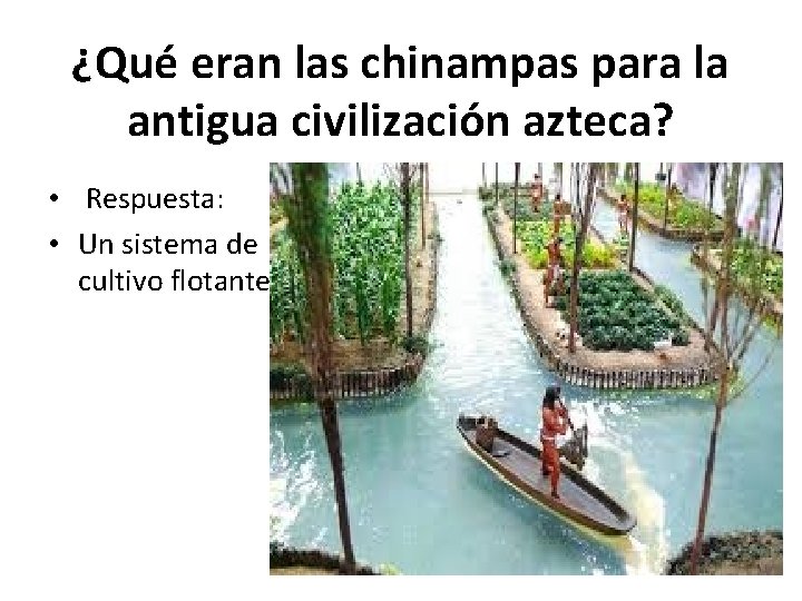 ¿Qué eran las chinampas para la antigua civilización azteca? • Respuesta: • Un sistema