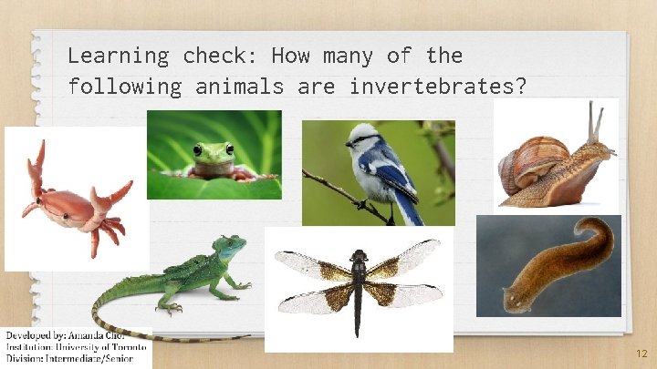 Learning check: How many of the following animals are invertebrates? 12 