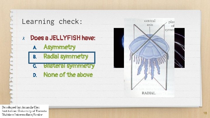 Learning check: ✗ Does a JELLYFISH have: A. Asymmetry B. Radial symmetry C. Bilateral