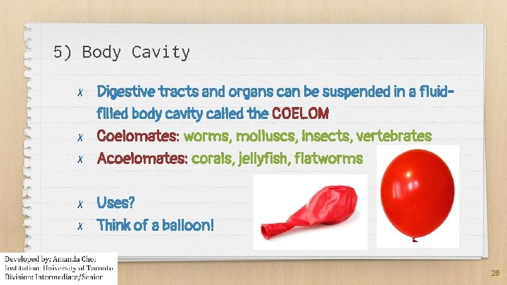 5) Body Cavity ✗ ✗ ✗ Digestive tracts and organs can be suspended in