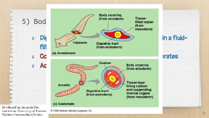 5) Body Cavity ✗ ✗ ✗ Digestive tracts and organs can be suspended in