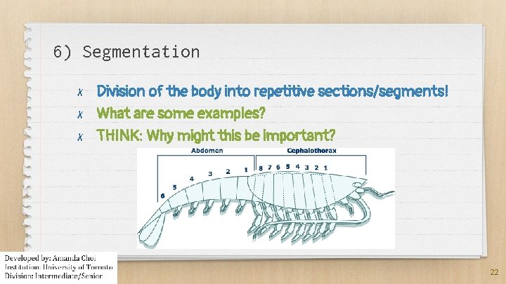 6) Segmentation ✗ ✗ ✗ Division of the body into repetitive sections/segments! What are