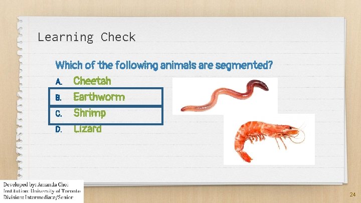 Learning Check Which of the following animals are segmented? A. Cheetah B. Earthworm C.