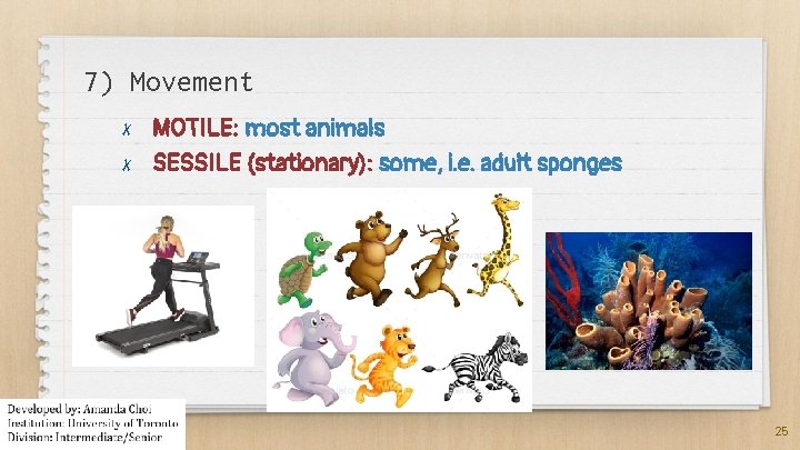 7) Movement ✗ ✗ MOTILE: most animals SESSILE (stationary): some, i. e. adult sponges