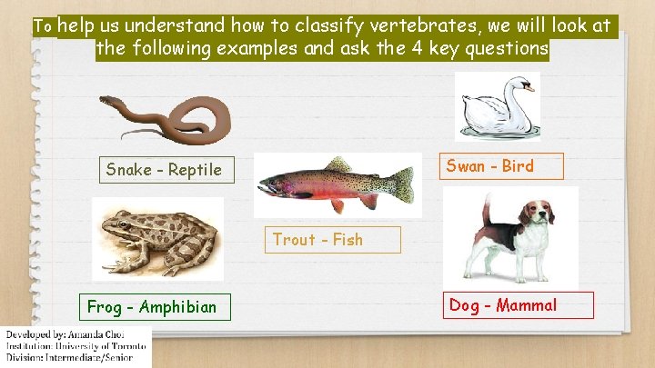 To help us understand how to classify vertebrates, we will look at the following